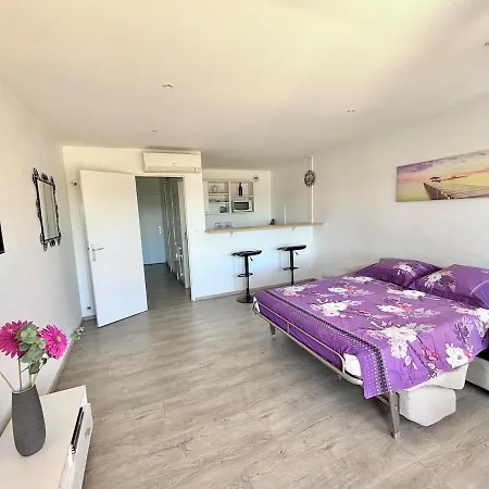 Grand Climatise, Piscine, 5mn, Parking Gratuit Apartment