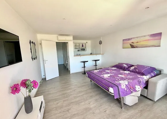 Grand Climatisé, Piscine, 5mn, Parking Gratuit Appartement